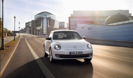 爆料甲壳虫游戏视频,全新视频曝光，带你领略刺激冒险之旅